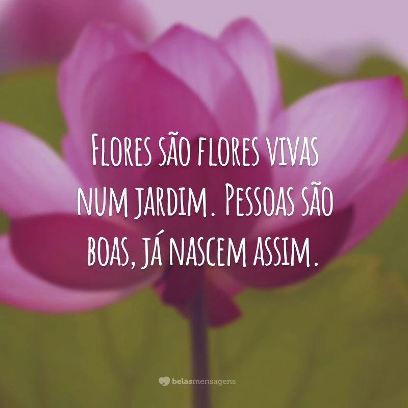 Flores são flores vivas num jardim. Pessoas são boas, já nascem assim.