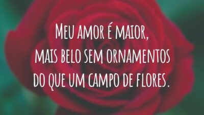 Meu amor é maior, mais belo sem ornamentos do que um campo de flores.