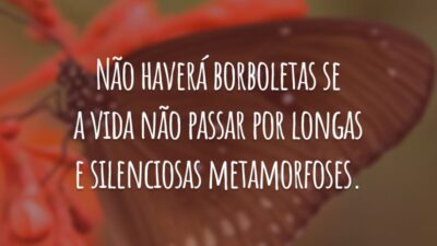 Não haverá borboletas se a vida não passar por longas e silenciosas metamorfoses.