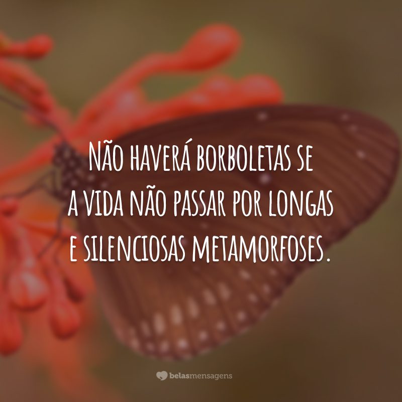 Não haverá borboletas se a vida não passar por longas e silenciosas metamorfoses.