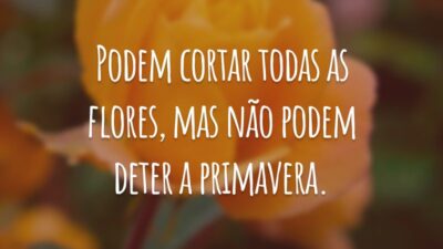 Podem cortar todas as flores, mas não podem deter a primavera.