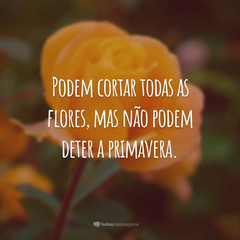 Podem cortar todas as flores, mas não podem deter a primavera.