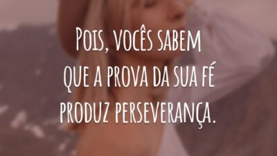 Pois, vocês sabem que a prova da sua fé produz perseverança.