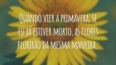 Quando vier a primavera, se eu já estiver morto, as flores florirão da mesma maneira.