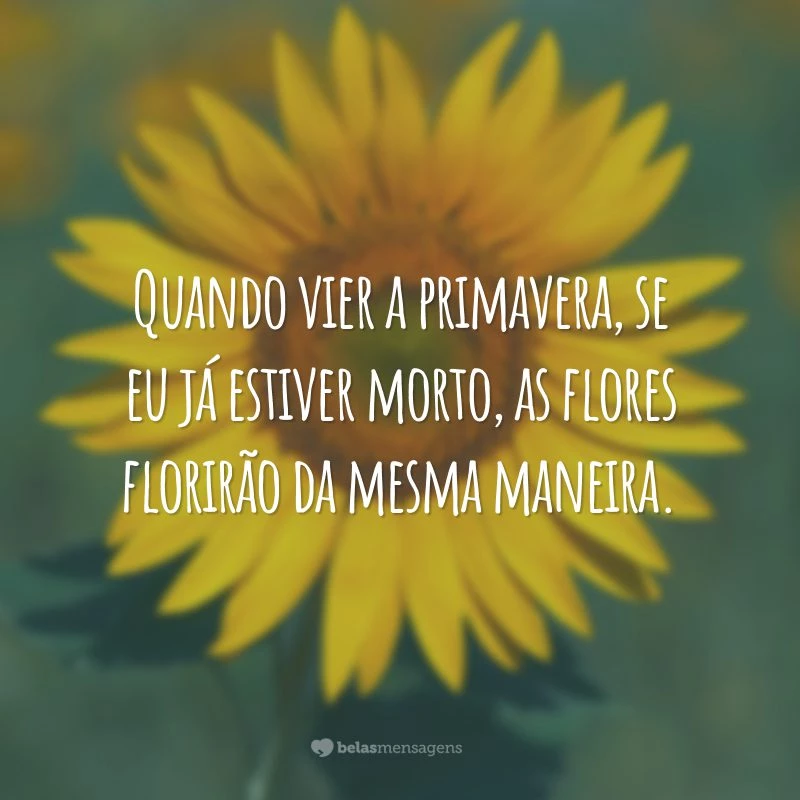 Quando vier a primavera, se eu já estiver morto, as flores florirão da mesma maneira.