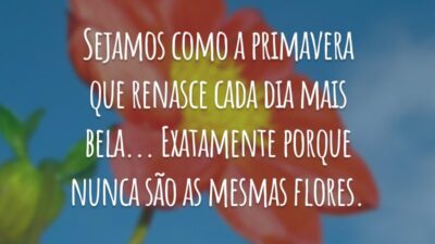 Sejamos como a primavera que renasce cada dia mais bela... Exatamente porque nunca são as mesmas flores.