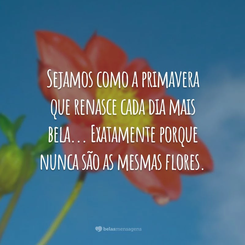 Sejamos como a primavera que renasce cada dia mais bela... Exatamente porque nunca são as mesmas flores.