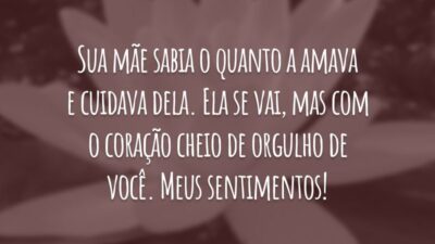 Sua mãe sabia o quanto a amava e cuidava dela. Ela se vai, mas com o coração cheio de orgulho de você. Meus sentimentos!