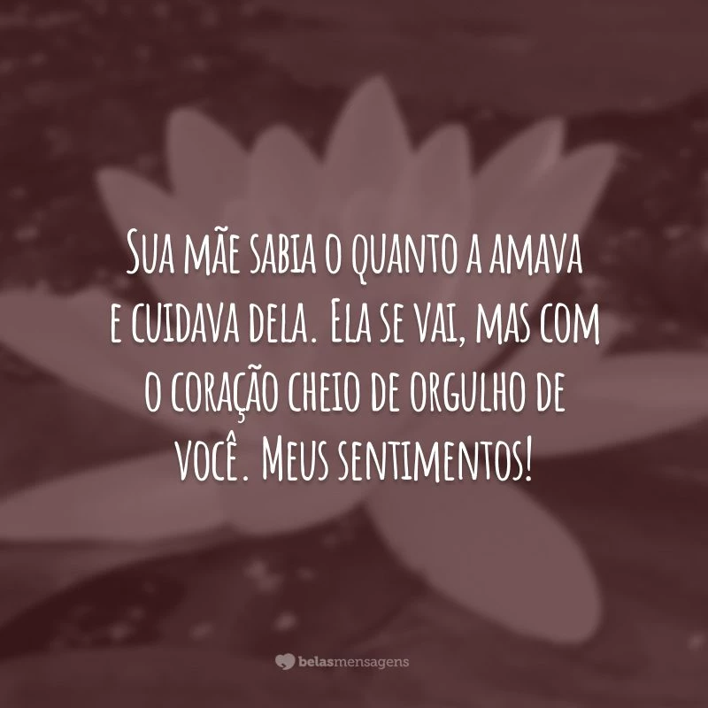 Sua mãe sabia o quanto a amava e cuidava dela. Ela se vai, mas com o coração cheio de orgulho de você. Meus sentimentos!