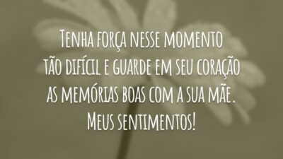 Tenha força nesse momento tão difícil e guarde em seu coração as memórias boas com a sua mãe. Meus sentimentos!