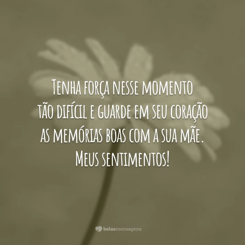 Tenha força nesse momento tão difícil e guarde em seu coração as memórias boas com a sua mãe. Meus sentimentos!