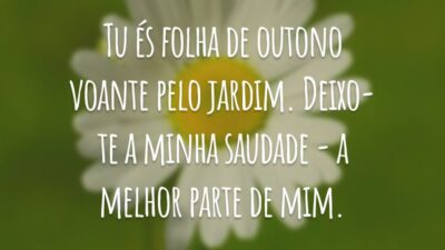 Tu és folha de outono voante pelo jardim. Deixo-te a minha saudade - a melhor parte de mim.