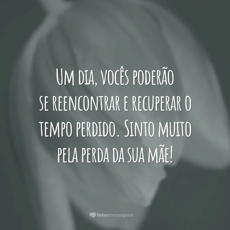 Um dia, vocês poderão se reencontrar e recuperar o tempo perdido. Sinto muito pela perda da sua mãe!