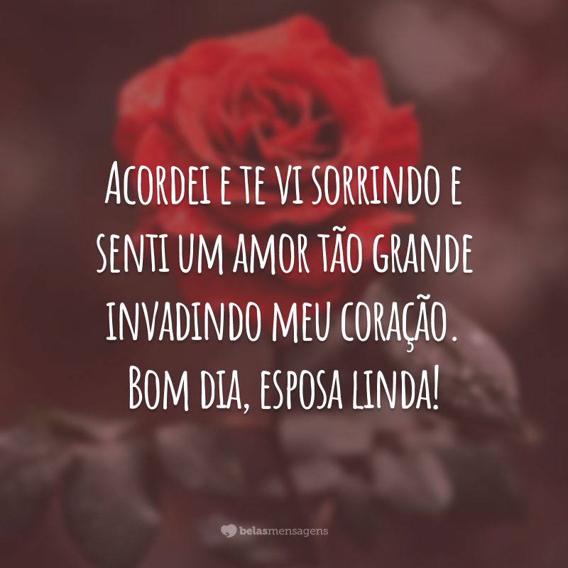 Acordei e te vi sorrindo e senti um amor tão grande invadindo meu coração. Bom dia, esposa linda!