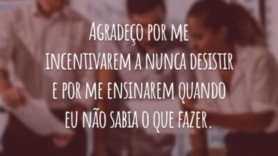 Agradeço por me incentivarem a nunca desistir e por me ensinarem quando eu não sabia o que fazer.