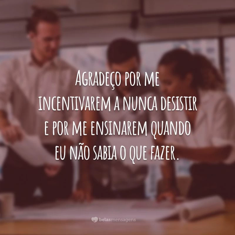 Agradeço por me incentivarem a nunca desistir e por me ensinarem quando eu não sabia o que fazer.