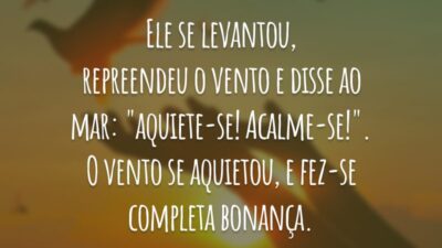 Ele se levantou, repreendeu o vento e disse ao mar: "aquiete-se! Acalme-se!". O vento se aquietou, e fez-se completa bonança.