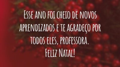 Esse ano foi cheio de novos aprendizados e te agradeço por todos eles, professora. Feliz Natal!