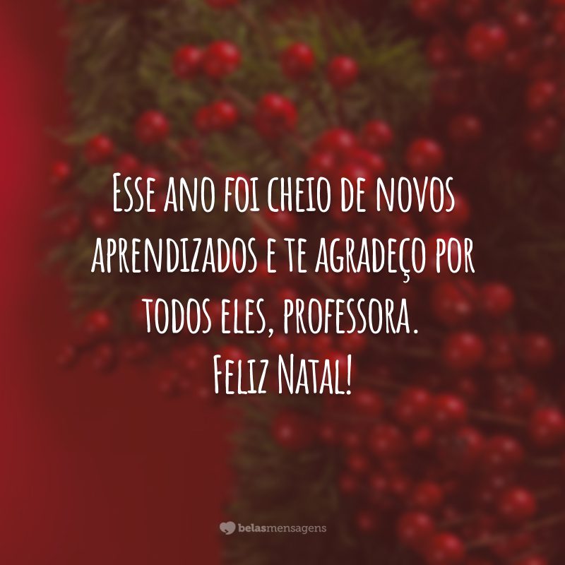 Esse ano foi cheio de novos aprendizados e te agradeço por todos eles, professora. Feliz Natal!