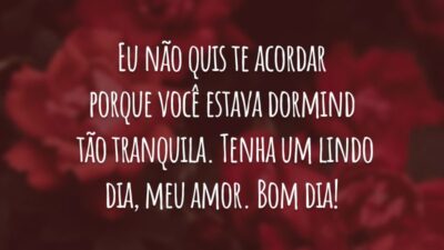 Eu não quis te acordar porque você estava dormindo tão tranquila. Tenha um lindo dia, meu amor. Bom dia!