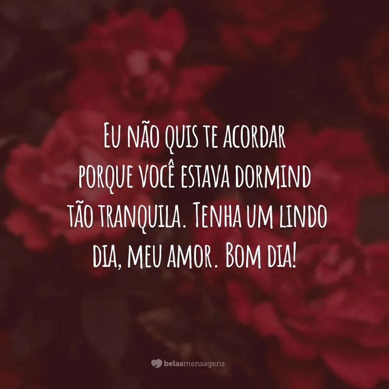 Eu não quis te acordar porque você estava dormindo tão tranquila. Tenha um lindo dia, meu amor. Bom dia!