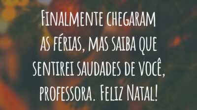 Finalmente chegaram as férias, mas saiba que sentirei saudades de você, professora. Feliz Natal!