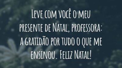 Leve com você o meu presente de Natal, professora: a gratidão por tudo o que me ensinou. Feliz Natal!