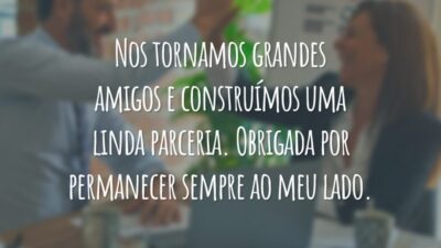 Nos tornamos grandes amigos e construímos uma linda parceria. Obrigada por permanecer sempre ao meu lado.