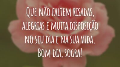 Que não faltem risadas, alegrias e muita disposição no seu dia e na sua vida. Bom dia, sogra!