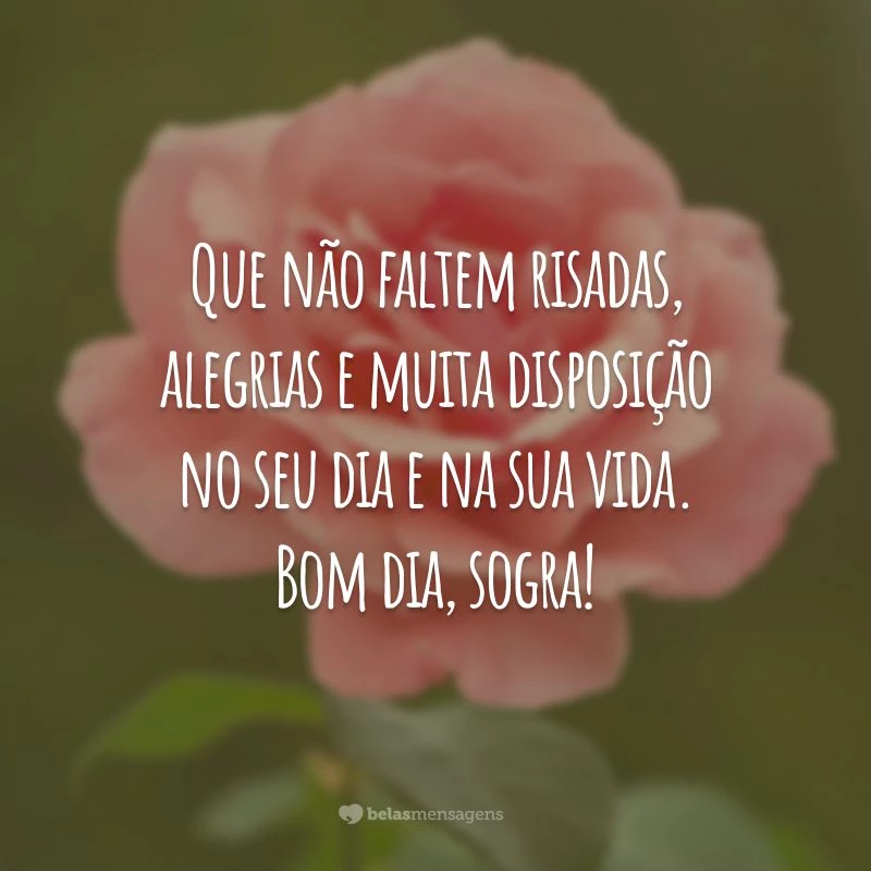 Que não faltem risadas, alegrias e muita disposição no seu dia e na sua vida. Bom dia, sogra!