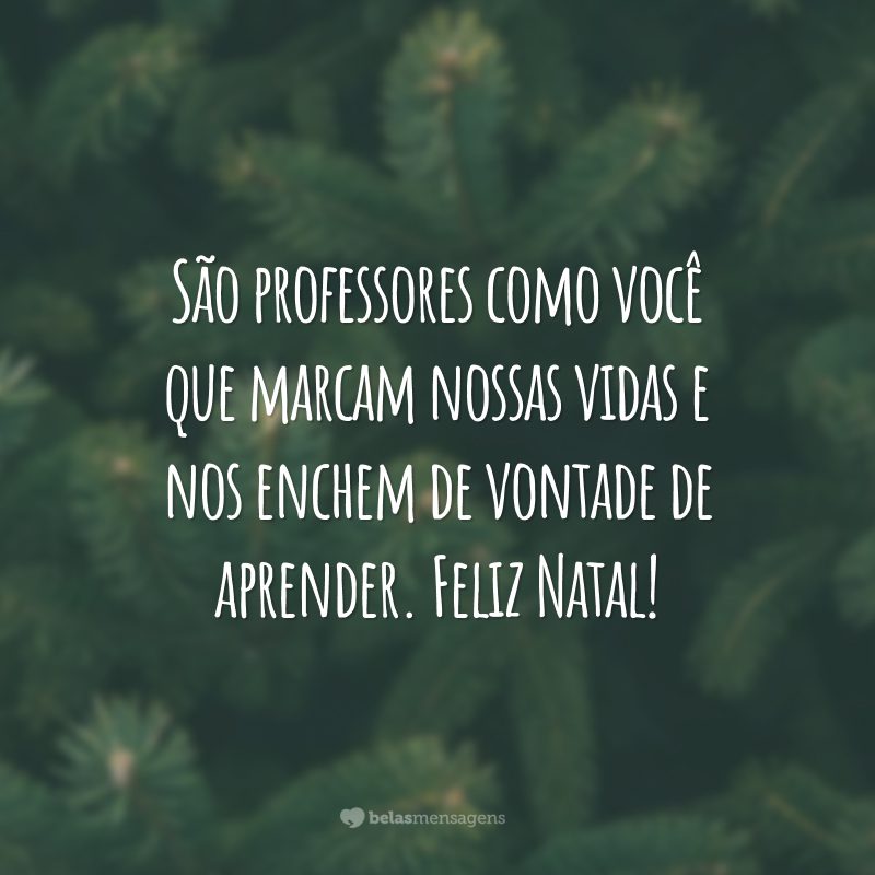 São professores como você que marcam nossas vidas e nos enchem de vontade de aprender. Feliz Natal!