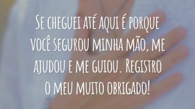Se cheguei até aqui é porque você segurou minha mão, me ajudou e me guiou. Registro o meu muito obrigado!