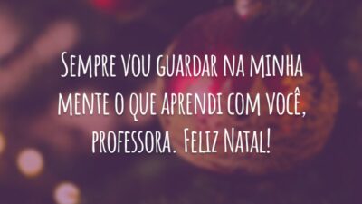 Sempre vou guardar na minha mente o que aprendi com você, professora. Feliz Natal!