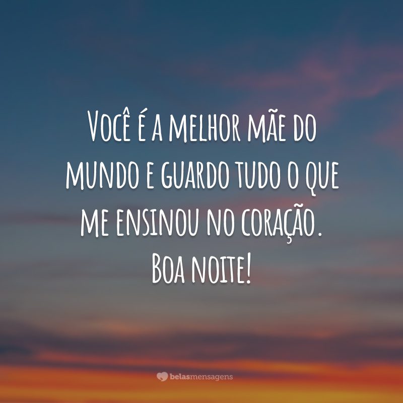 Você é a melhor mãe do mundo e guardo tudo o que me ensinou no coração. Boa noite!