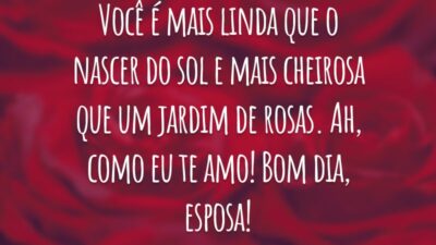 Você é mais linda que o nascer do sol e mais cheirosa que um jardim de rosas. Ah, como eu te amo! Bom dia, esposa!