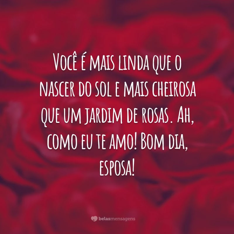 Você é mais linda que o nascer do sol e mais cheirosa que um jardim de rosas. Ah, como eu te amo! Bom dia, esposa!