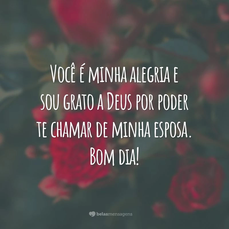 Você é minha alegria e sou grato a Deus por poder te chamar de minha esposa. Bom dia!