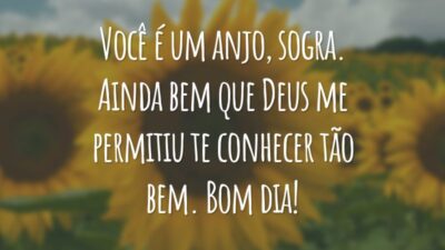 Você é um anjo, sogra. Ainda bem que Deus me permitiu te conhecer tão bem. Bom dia!