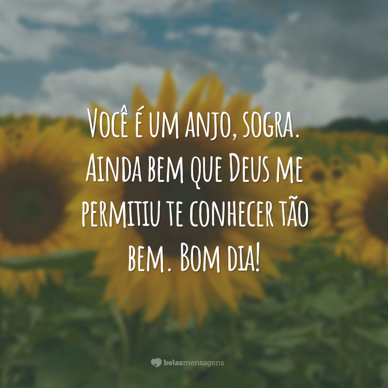 Você é um anjo, sogra. Ainda bem que Deus me permitiu te conhecer tão bem. Bom dia!