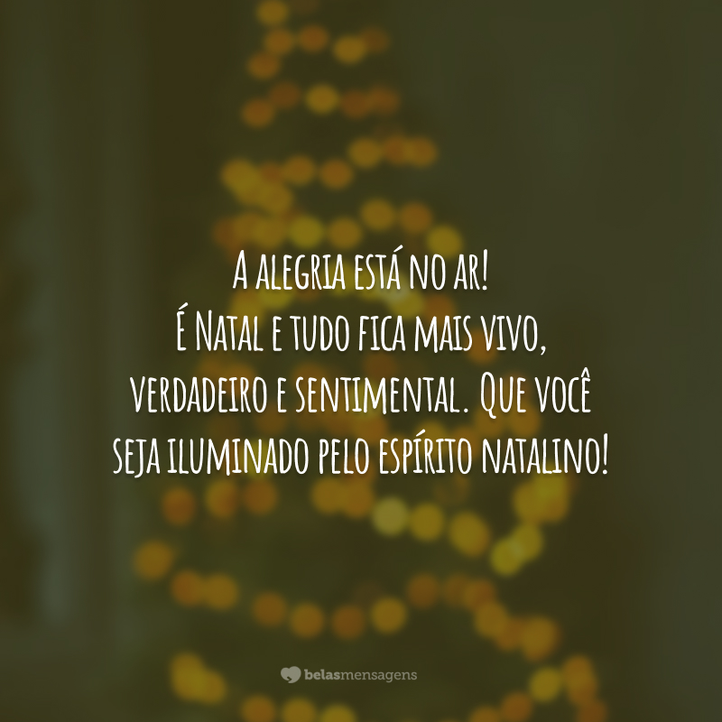 A alegria está no ar! É Natal e tudo fica mais vivo, verdadeiro e sentimental. Que você seja iluminado pelo espírito natalino!