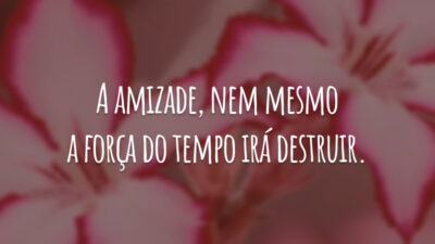 A amizade, nem mesmo a força do tempo irá destruir.