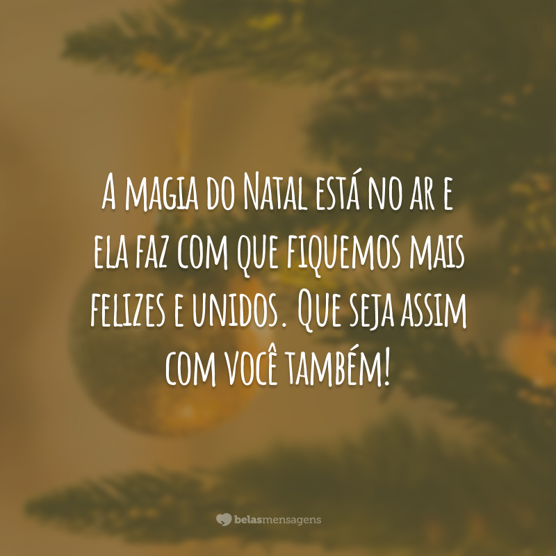 A magia do Natal está no ar e ela faz com que fiquemos mais felizes e unidos. Que seja assim com você também!