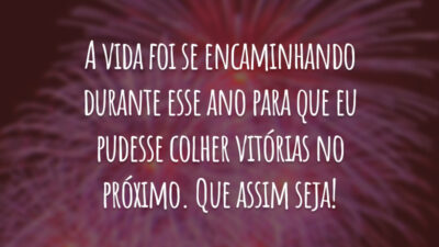 A vida foi se encaminhando durante esse ano para que eu pudesse colher vitórias no próximo. Que assim seja!
