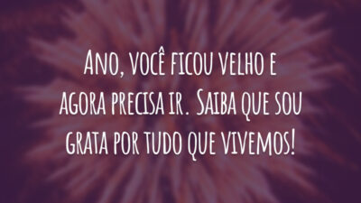 Ano, você ficou velho e agora precisa ir. Saiba que sou grata por tudo que vivemos!