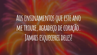 Aos ensinamentos que este ano me trouxe, agradeço de coração. Jamais esquecerei deles!