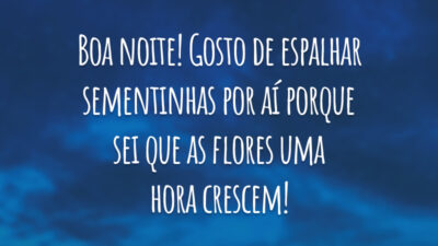 Boa noite! Gosto de espalhar sementinhas por aí porque sei que as flores uma hora crescem!