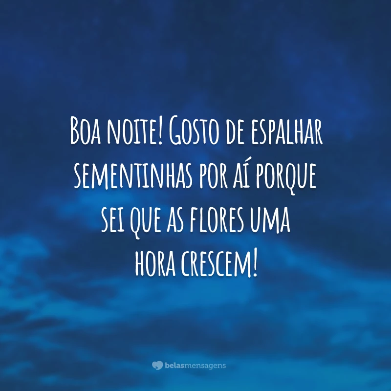 Boa noite! Gosto de espalhar sementinhas por aí porque sei que as flores uma hora crescem!