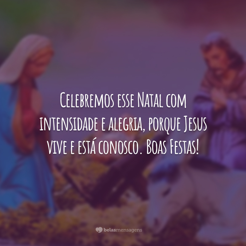 Celebremos esse Natal com intensidade e alegria, porque Jesus vive e está conosco. Boas Festas!