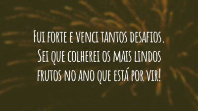 Fui forte e venci tantos desafios. Sei que colherei os mais lindos frutos no ano que está por vir!