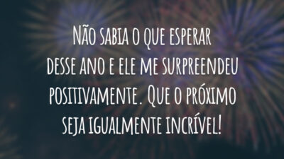 Não sabia o que esperar desse ano e ele me surpreendeu positivamente. Que o próximo seja igualmente incrível!